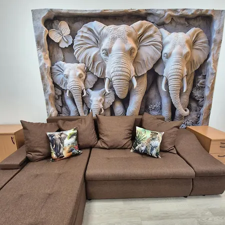 Safari ブダペスト