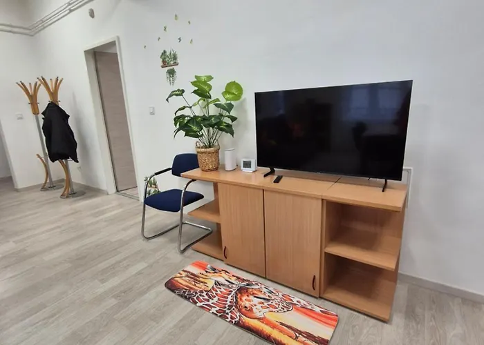 Safari Apartament