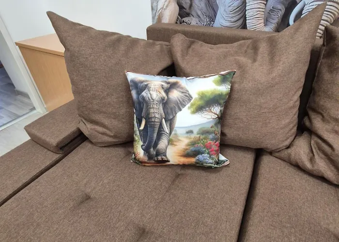 Safari *