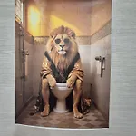 Safari