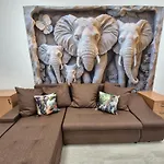 Safari 부다페스트