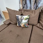 Safari *