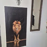 아파트 Safari