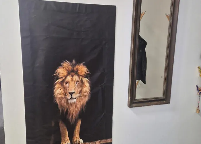 Apartament Safari